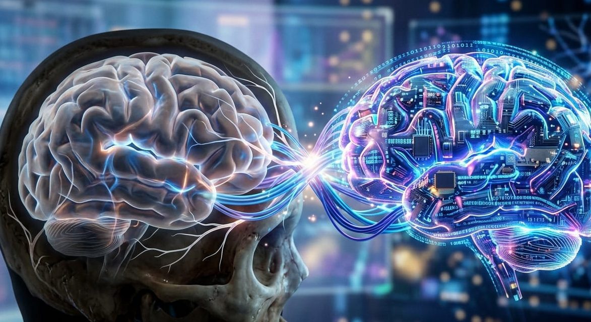 Digital brain connecting with human brain illustrating artificial intelligence and humanity